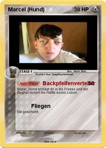 Pokemon Marcel (Hund)