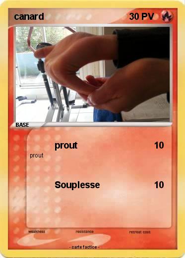 Pokemon canard