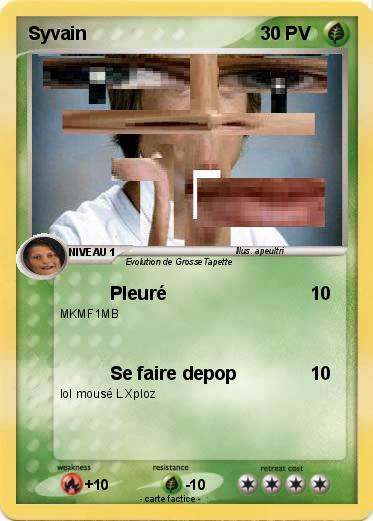 Pokemon Syvain