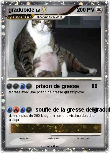 Pokemon gradubide