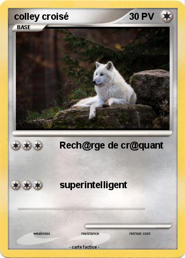 Pokemon colley croisé