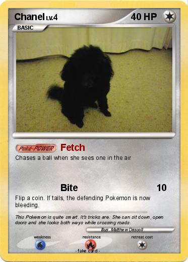 Pokemon Chanel