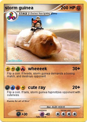 Pokemon storm guinea