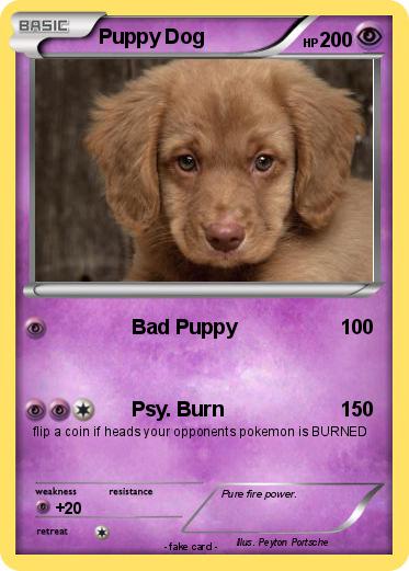 Pokemon Puppy Dog