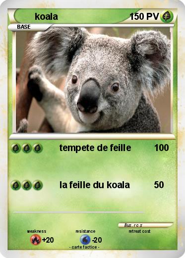 Pokemon koala