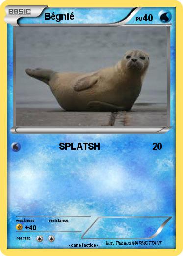 Pokemon Bégnié