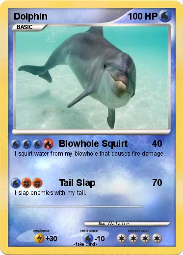 Pokemon Dolphin