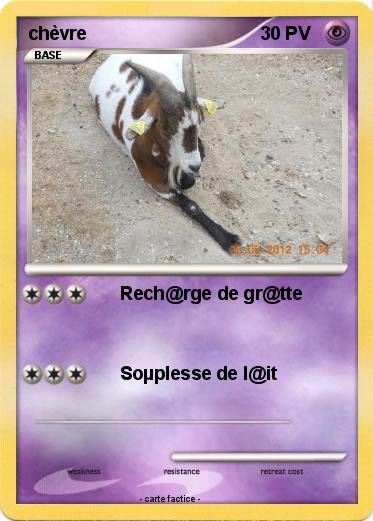 Pokemon chèvre
