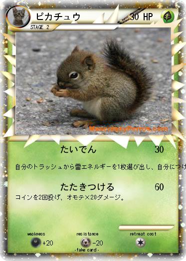 Pokemon ピカチュウ