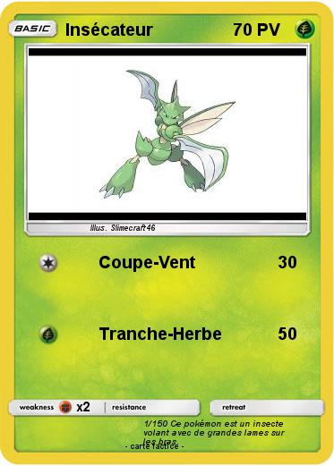 Pokemon Insécateur