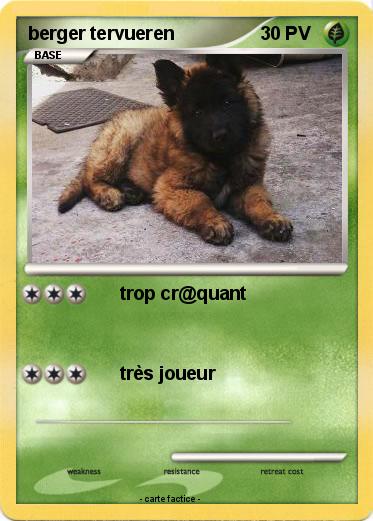 Pokemon berger tervueren