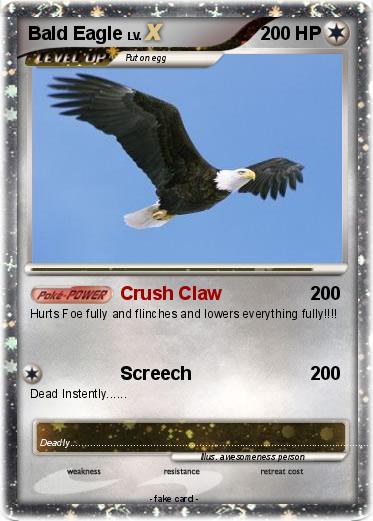 Pokemon Bald Eagle