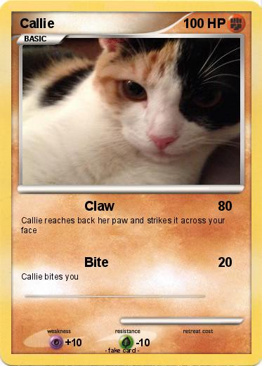 Pokemon Callie