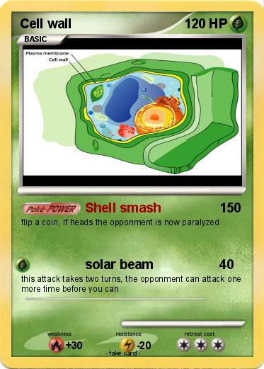 Pokemon Cell wall