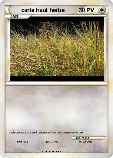 Pokemon carte haut herbe