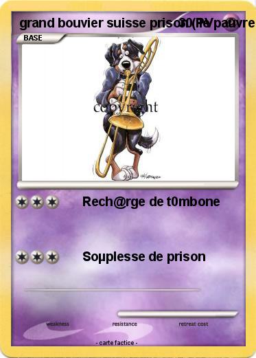 Pokemon grand bouvier suisse prison ( le pauvre )