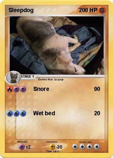 Pokemon Sleepdog