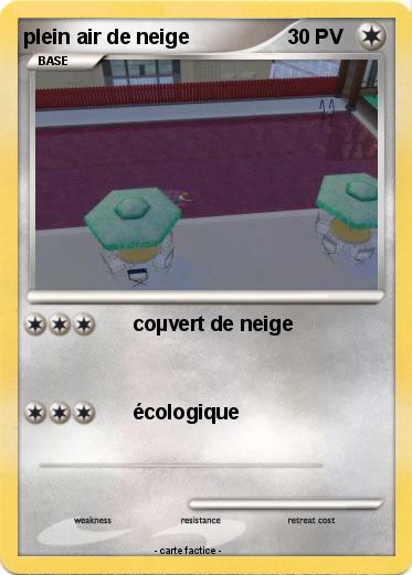 Pokemon plein air de neige