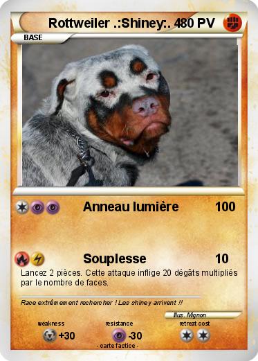 Pokemon Rottweiler .:Shiney:. 4
