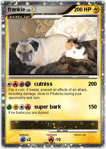 Pokemon frankie