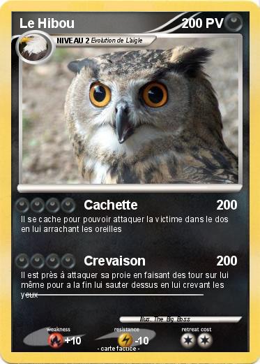 Pokemon Le Hibou