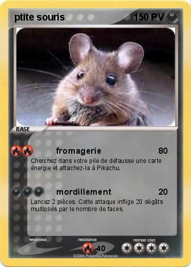 Pokemon ptite souris
