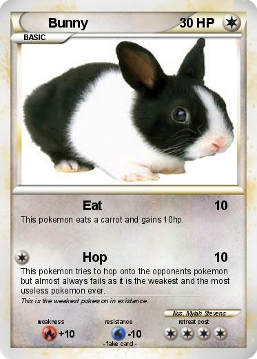 Pokemon Bunny