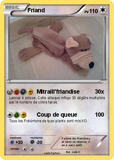 Pokemon Friand