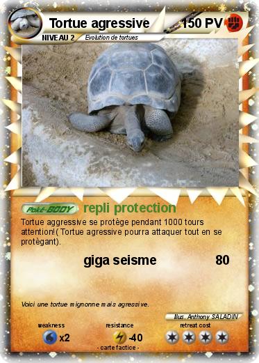 Pokemon Tortue agressive
