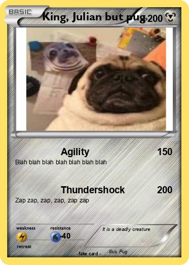 Pokemon King, Julian but pug