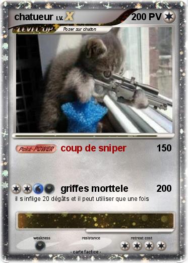 Pokemon chatueur