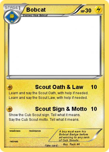 Pokemon Bobcat