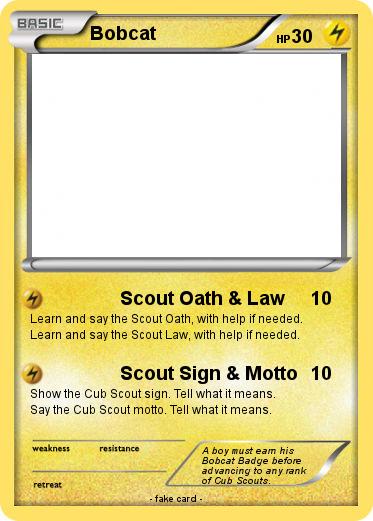 Pokemon Bobcat