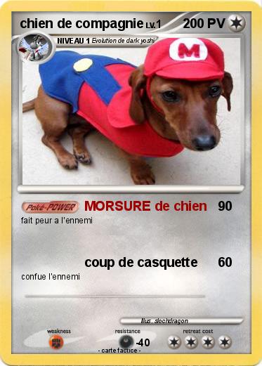 Pokemon chien de compagnie