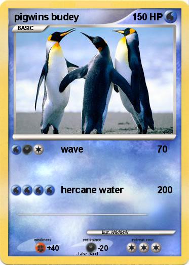 Pokemon pigwins budey