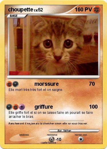 Pokemon choupette