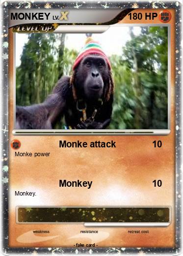 Pokemon MONKEY