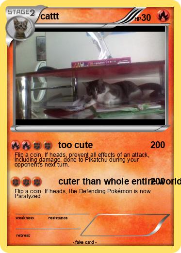 Pokemon cattt