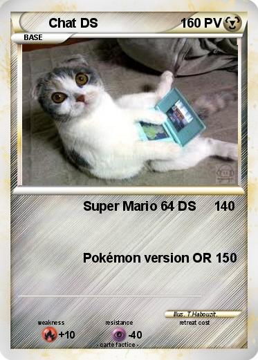 Pokemon Chat DS