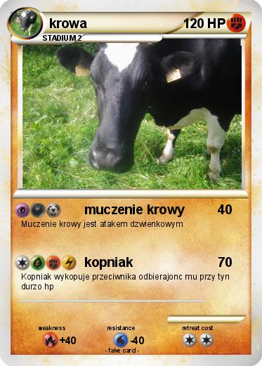 Pokemon krowa