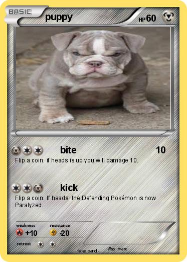 Pokemon puppy