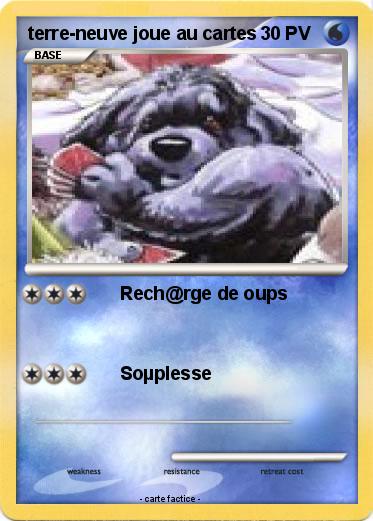 Pokemon terre-neuve joue au cartes