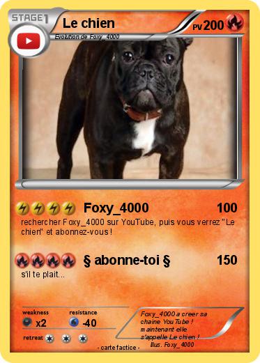 Pokemon Le chien