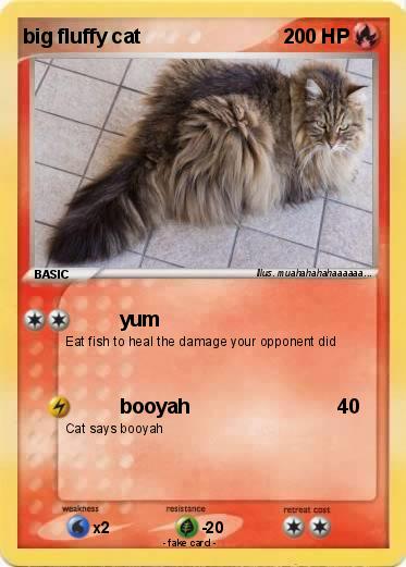 Pokemon big fluffy cat