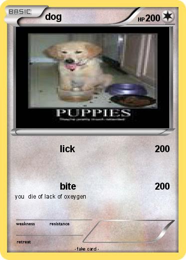 Pokemon dog