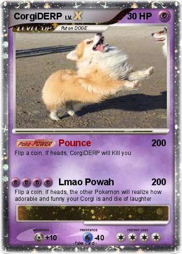 Pokemon CorgiDERP