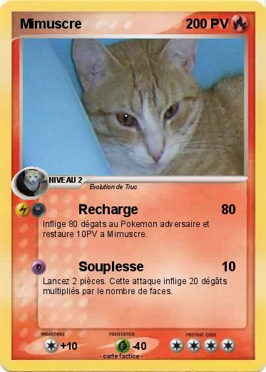 Pokemon Mimuscre
