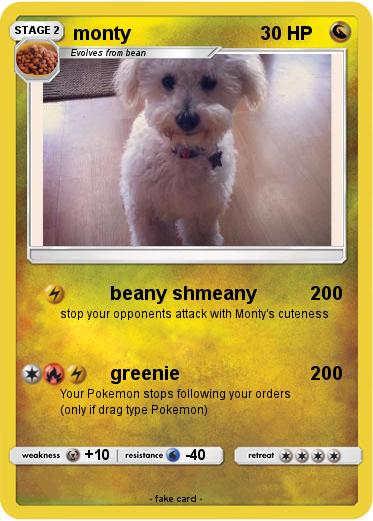 Pokemon monty