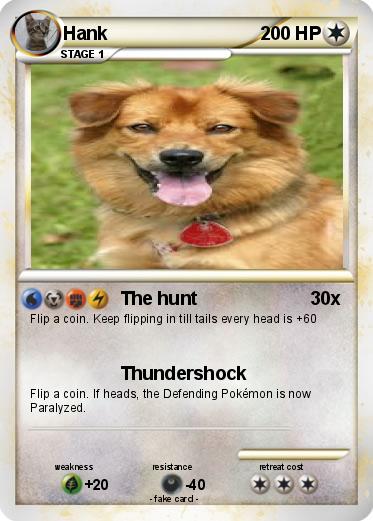 Pokemon Hank