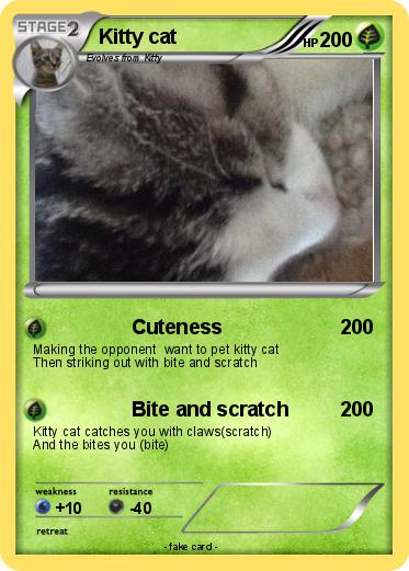 Pokemon Kitty cat
